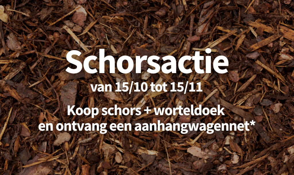 schorsactie dewitte